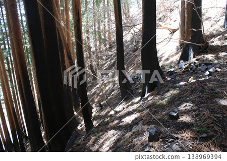 Mountain trail, fire site Mountain trail, fire site 138969394