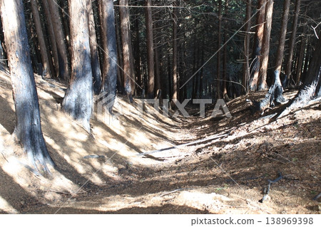 山間小徑,火災現場 山間小徑,火災現場 138969398