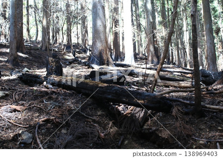 Mountain trail, fire site Mountain trail, fire site 138969403