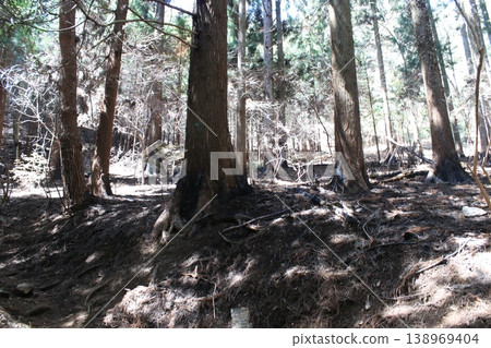 Mountain trail, fire site Mountain trail, fire site 138969404