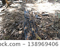 Mountain trail, fire site 138969406