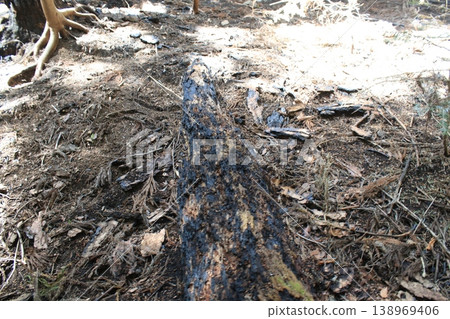 Mountain trail, fire site Mountain trail, fire site 138969406