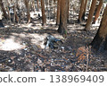 Mountain trail, fire site 138969409