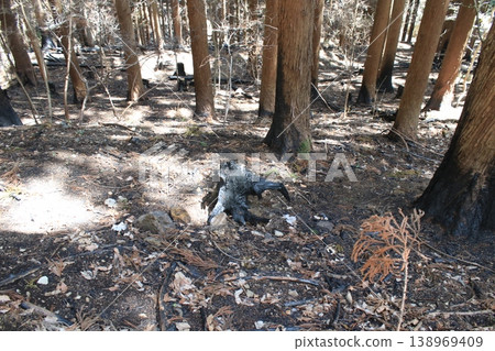 山間小徑,火災現場 山間小徑,火災現場 138969409