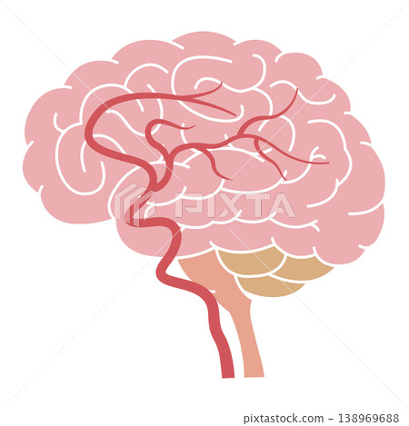 大腦插畫(含血管、解剖學、醫學、神經學、簡明版) 大腦插畫(含血管、解剖學、醫學、神經學、簡明版) 138969688