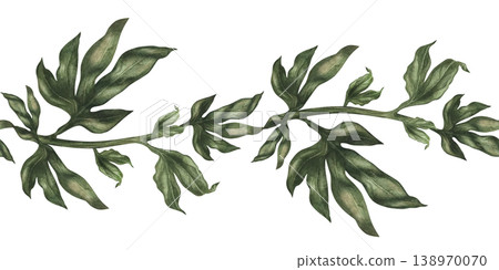 Seamless border of green peony branches isolated on white. Watercolor botanical greenery with soft natural texture for floral compositions, wedding design, branding, packaging, elegant botanical decor Seamless border of green peony branches isolated on white. Watercolor botanical greenery with soft natural texture for floral compositions, wedding design, branding, packaging, elegant botanical decor 138970070