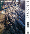 Deep muddy ruts and puddles on a dirt road in spring 138970101