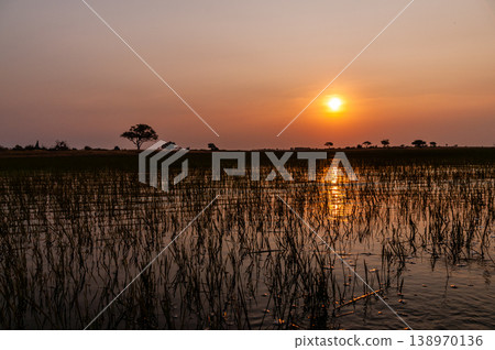 Sunset in the Okavango Delta 138970136