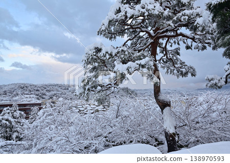 雪景美麗的兼六園 138970593