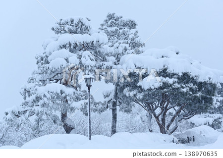 雪景美麗的兼六園 雪景美麗的兼六園 138970635