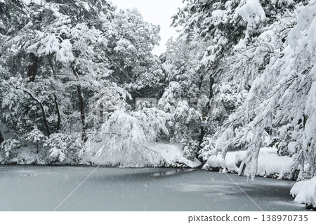 雪景美麗的兼六園 138970735