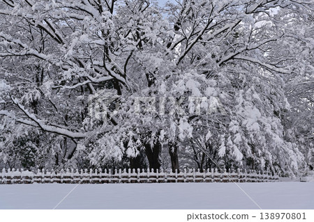 雪景美麗的金澤城公園 138970801