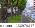 公園內有一條安靜的小路和白色的柵欄，街道兩旁長滿了長滿青苔的樹木。 138970847