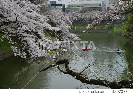 [Tokyo, Chidorigafuchi] Cherry blossoms in full bloom; rowboats 138970871