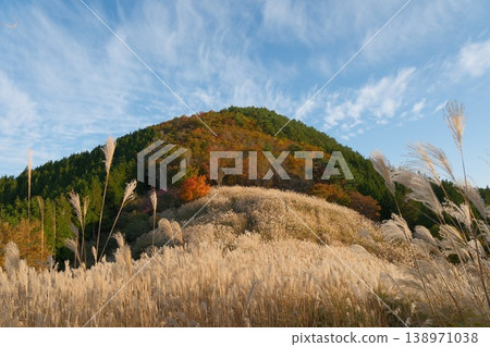 A view of autumn grasslands and mountainsides covered in colorful foliage. 138971038
