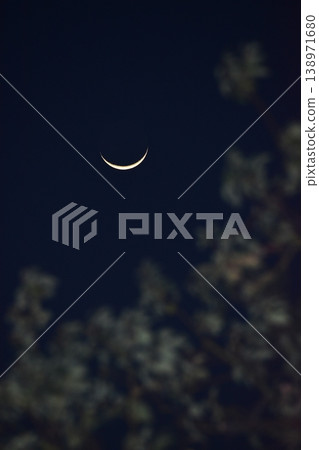 Crescent Moon  138971680