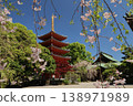 "The five-story pagoda and cherry blossoms at Tochoji Temple" in Hakata Ward, Fukuoka City. 138971989