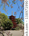 "The five-story pagoda and cherry blossoms at Tochoji Temple" in Hakata Ward, Fukuoka City. 138971990