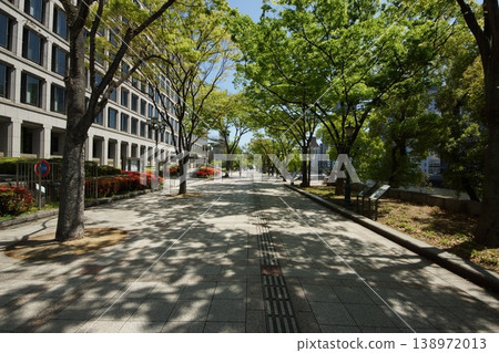 大阪市政府,中之島公園 大阪市政府,中之島公園 138972013