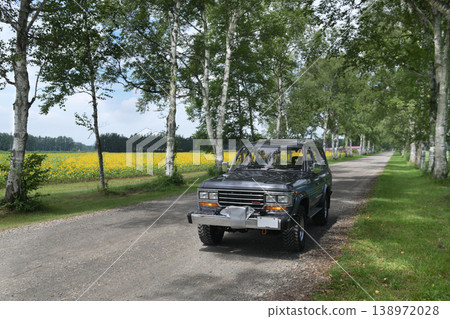 Birch trees and cars Birch trees and cars 138972028