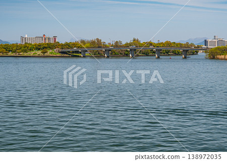 琵琶湖岸邊景色，滋賀縣草津市 138972035