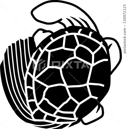 Turtle icon Turtle icon 138972125