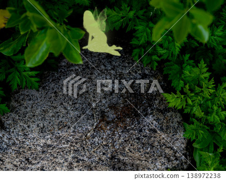 A fairy hiding in the ferns growing on the stone wall 138972238