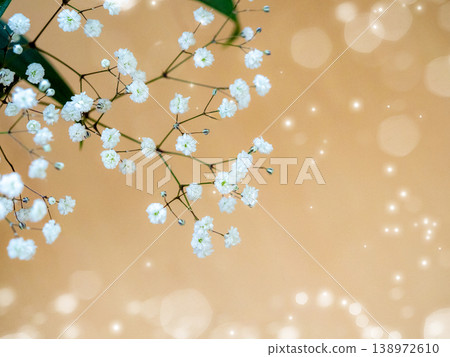 一張可愛的滿天星特寫。 138972610
