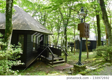 Hakone Town, Lake Ashi Camp Village: Cabins and Forest 138972692