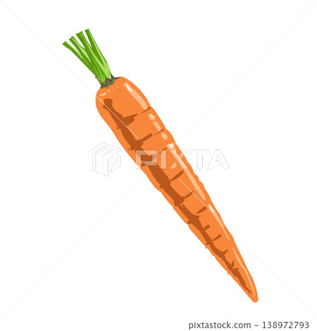 Carrot Illustration Carrot Illustration 138972793