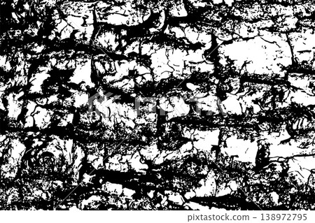 Tree bark texture background Tree bark texture background 138972795