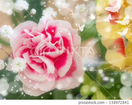Beautiful pink and white carnations and butterflies Beautiful pink and white carnations and butterflies 138972841