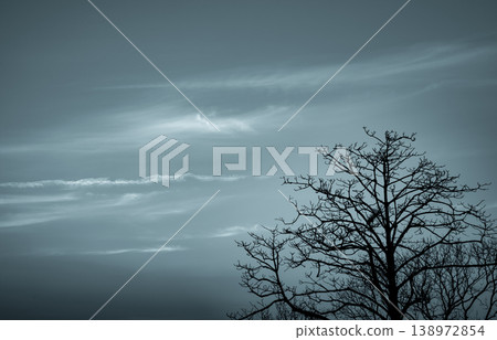 Silhouette dead tree on dark dramatic sky and white clouds background for death and peace. Halloween day background. Despair and hopeless concept. Sad of nature. Death and sad emotion background. Silhouette dead tree on dark dramatic sky and white clouds background for death and peace. Halloween day background. Despair and hopeless concept. Sad of nature. Death and sad emotion background. 138972854