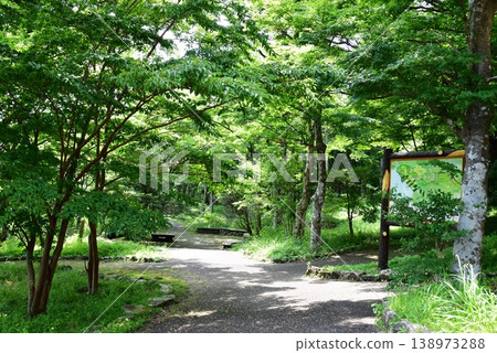 Hakone Town: Kojiri Park Walking Trail and Kojiri Area Walking Map Hakone Town: Kojiri Park Walking Trail and Kojiri Area Walking Map 138973288