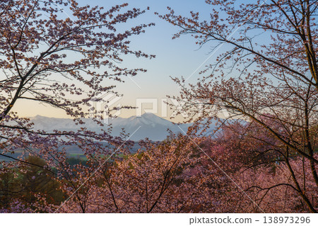 Spring scenery of cherry blossoms and the Tokachi mountain range as seen from Miyama Pass in Hokkaido. 138973296
