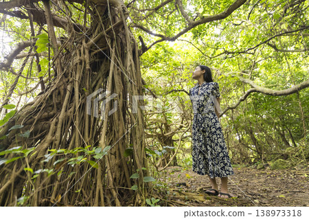 一位年輕女子凝視著一棵榕樹——旅行照片 一位年輕女子凝視著一棵榕樹——旅行照片 138973318