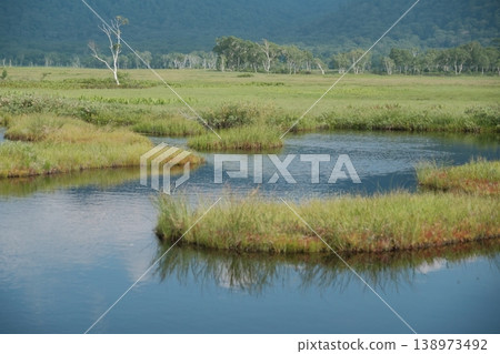 Summer in Oze Marsh: Ponds reflecting the blue sky and vast high-altitude wetlands; a refreshing landscape of wetlands dotted with floating islands. 138973492