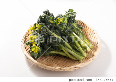 【山形縣】雪油菜花 【山形縣】雪油菜花 138973635