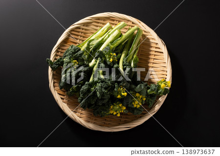 [Yamagata Prefecture] Snow rapeseed flowers 138973637
