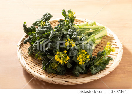 [Yamagata Prefecture] Snow rapeseed flowers 138973641