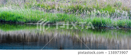 The green of the cogon grass reflected on the water's surface. 138973907