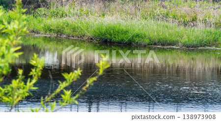 The green of the cogon grass reflected on the water's surface. 138973908