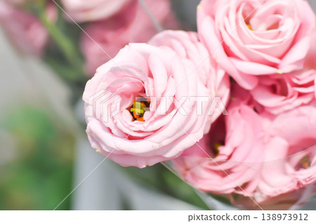 pink rose or Garden roses , zaide rose or William Christie Rose or Mary Rose or Rosa damascena Mill or pink flower or bouquet pink rose or Garden roses , zaide rose or William Christie Rose or Mary Rose or Rosa damascena Mill or pink flower or bouquet 138973912