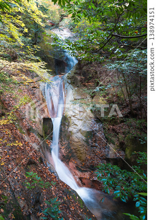 [Japan's Top 100 Waterfalls] Jakuchi Gorge Gorge Five Dragon Waterfalls in Late Autumn: Toryu Waterfall and Hakuryu Waterfall 1, Iwakuni City, Yamaguchi Prefecture 138974151