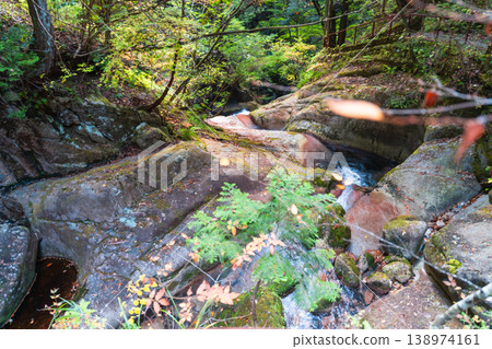 【日本百大瀑布】深秋時節，山口縣岩國市，若地峽五龍瀑布：溪流與步道3。 138974161