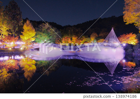 Yakushi Pond Park illuminated in autumn 138974186