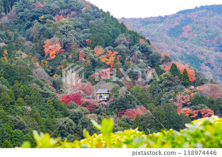 View of Daihikaku (Senkoji Temple) from Okochi Sanso Villa in Saga, Kyoto. 138974446