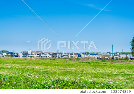 春日藍天，綠茵草坪，住宅區 138974839