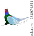 A simple illustration of a pheasant running. 138974851