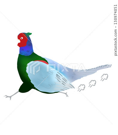 A simple illustration of a pheasant running. 138974851
